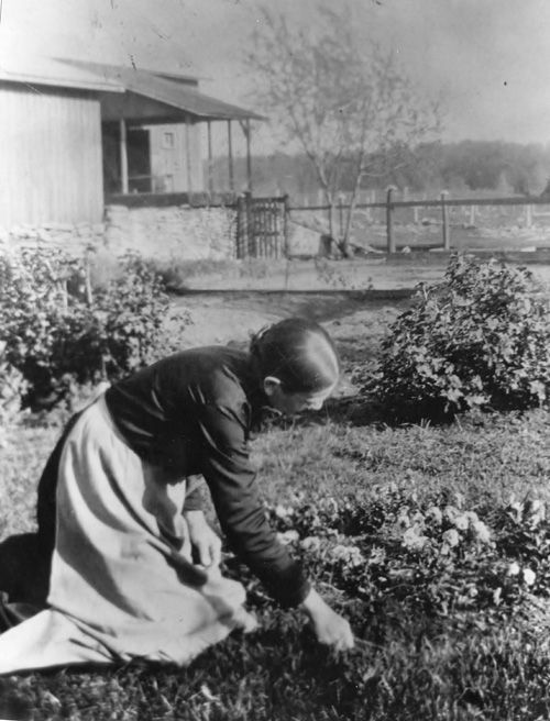 Emma Beauchamp (Mme Fabien Campeau) agenouillée dans son jardin, vers 1935. Centre d’archives de l’Outaouais, fonds du Conseil régional de développement de l'Outaouais (P1, S9, D1, P15).