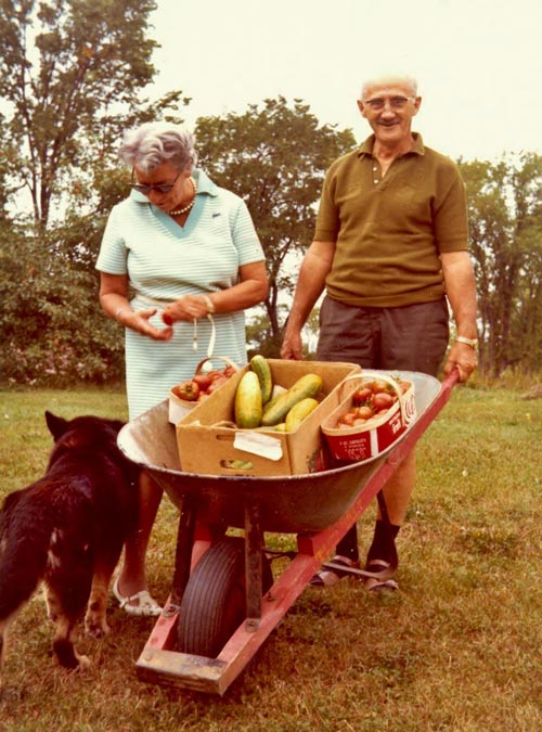 Lucien Brault et son épouse avec les récoltes de leur jardin, Aylmer, septembre 1969.